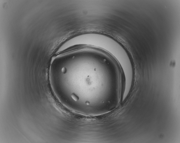 X0000111040401200907091614