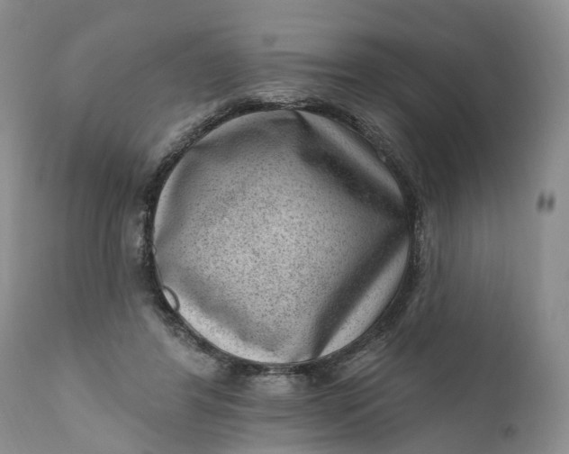 X0000111040404200907091614