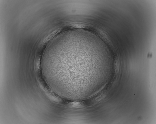 X0000111040406200907091614