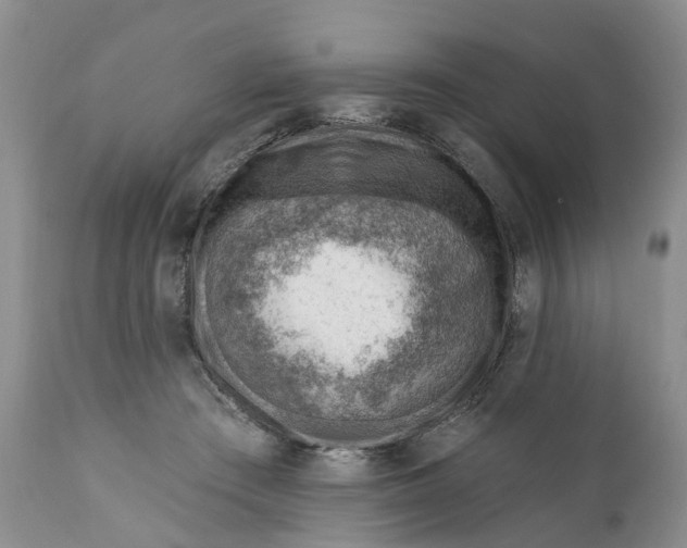 X0000111040409200907091614