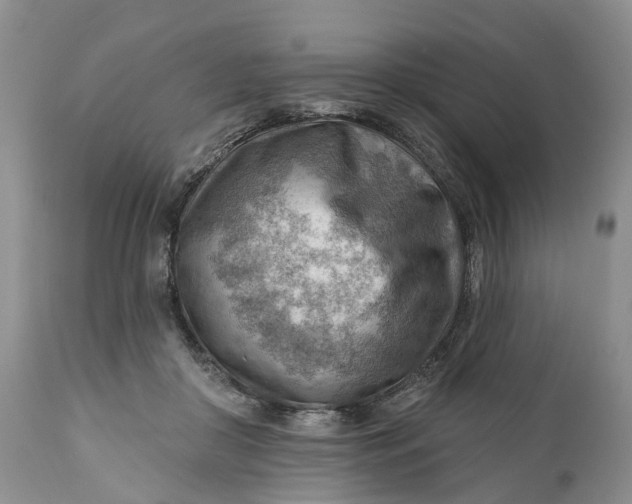 X0000111040410200907091614