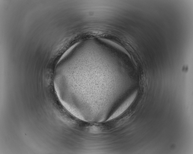 X0000111040412200907091614