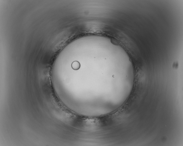 X0000111040415200907091614