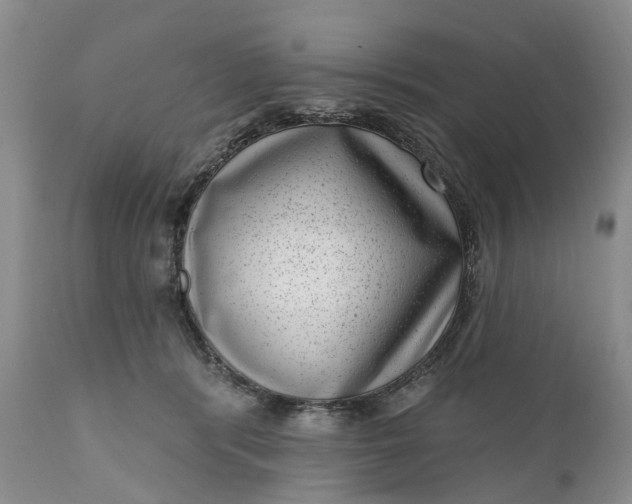 X0000111040416200907091614