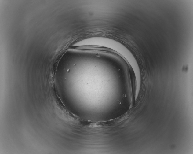 X0000111040419200907091614