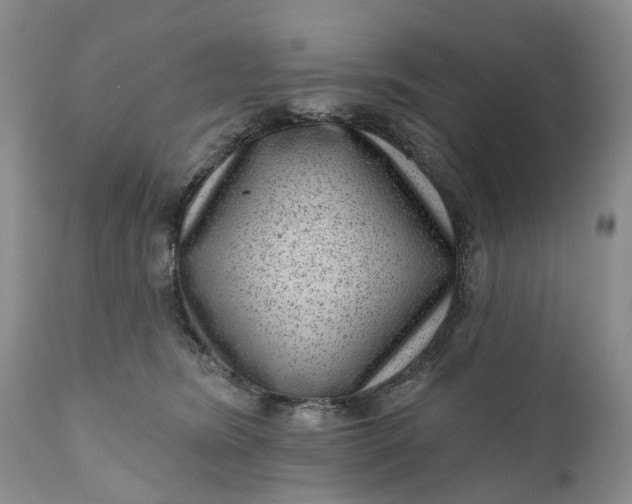 X0000111040420200907091614