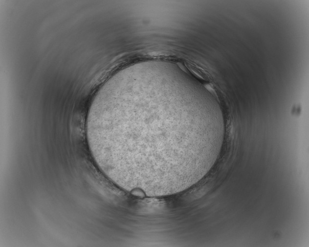 X0000111040421200907091614