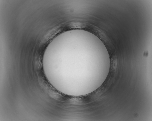 X0000111040422200907091614