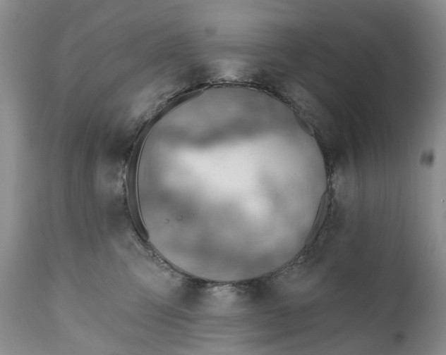 X0000111040423200907091614