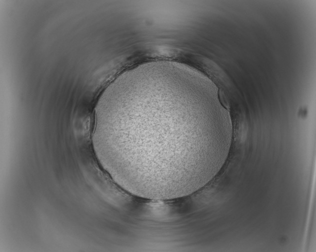 X0000111040425200907091614