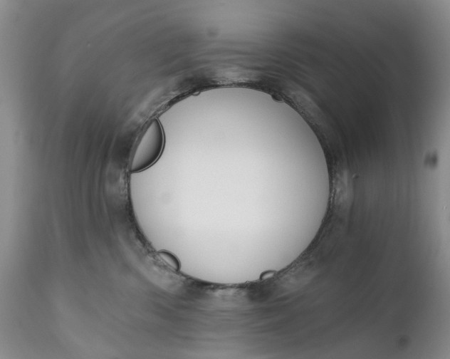 X0000111040426200907091614