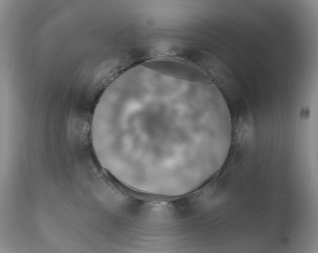 X0000111040427200907091614