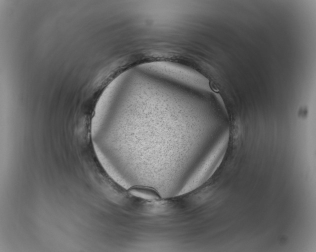 X0000111040428200907091614