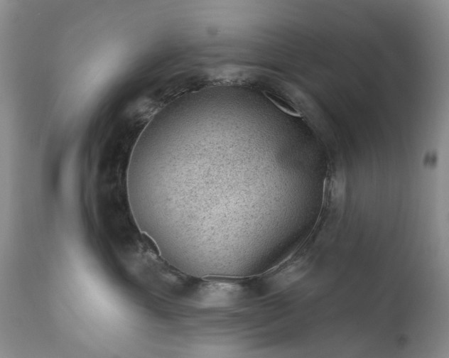 X0000111040429200907091614