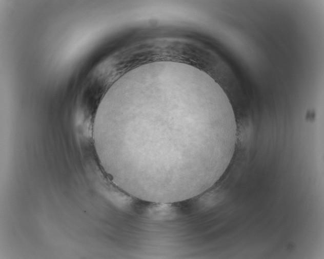 X0000111040431200907091614