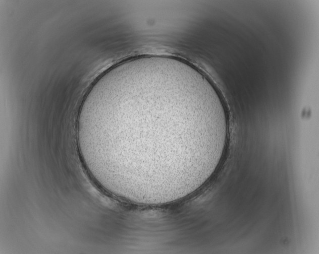 X0000111040433200907091613