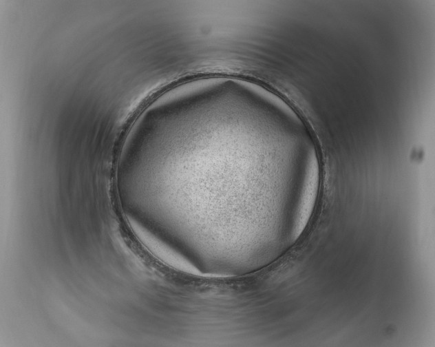 X0000111040434200907091613