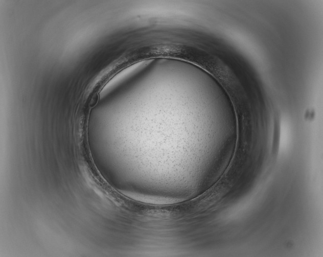 X0000111040435200907091613