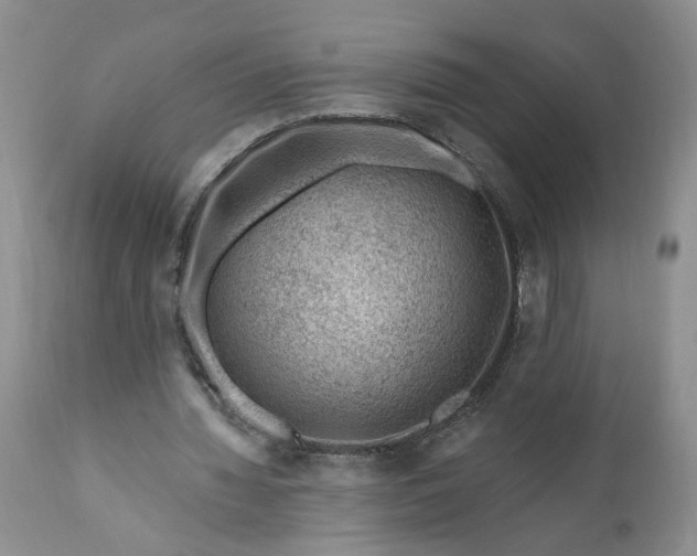 X0000111040436200907091613