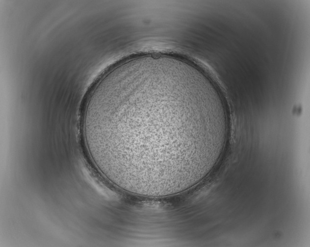 X0000111040439200907091613