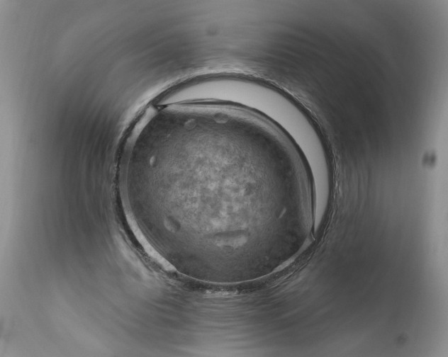 X0000111040440200907091613