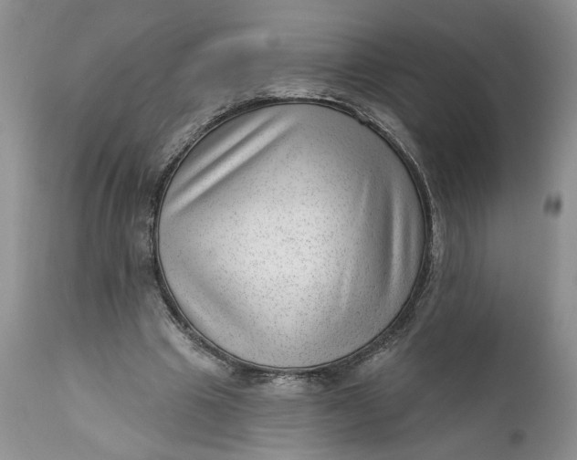 X0000111040441200907091613