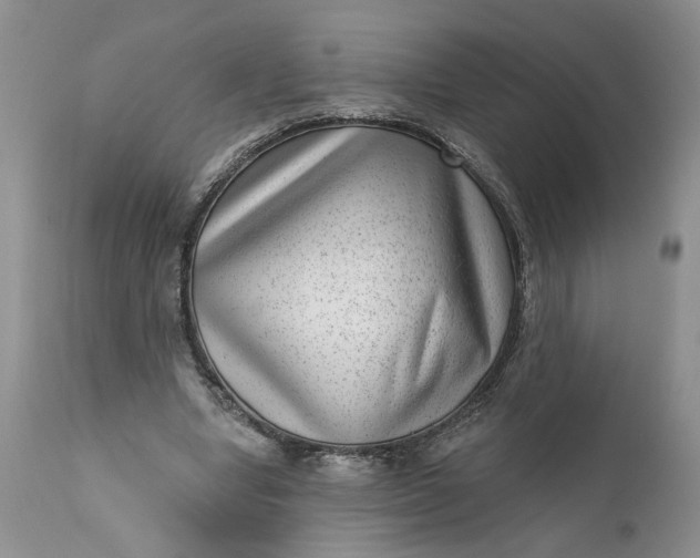 X0000111040442200907091613