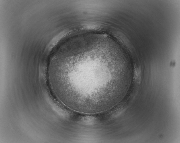 X0000111040444200907091613