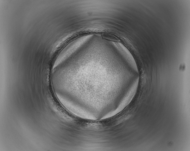 X0000111040446200907091613