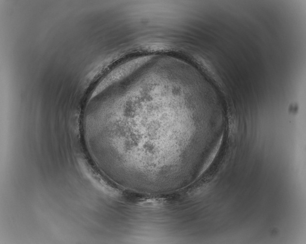 X0000111040447200907091613