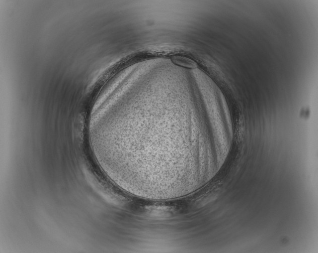 X0000111040448200907091613