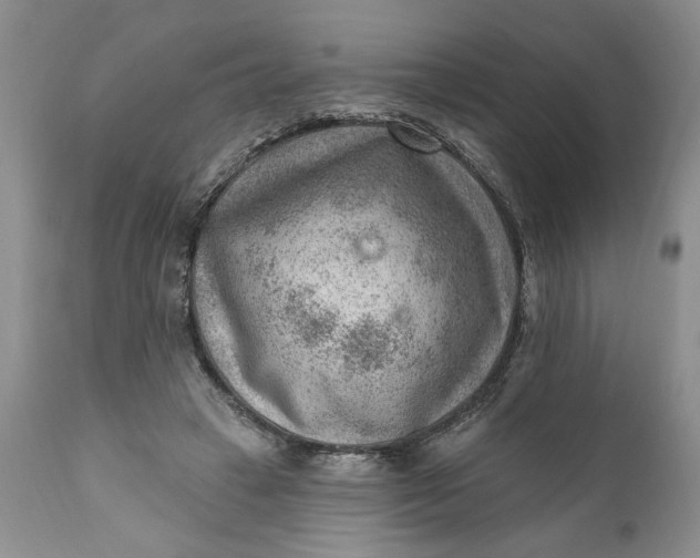 X0000111040449200907091613