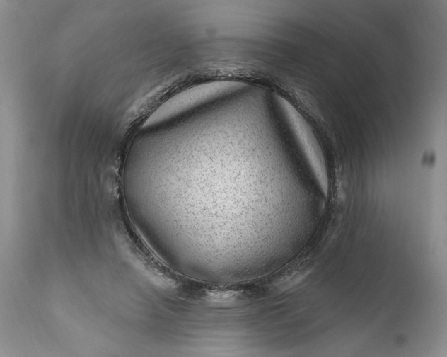 X0000111040450200907091613