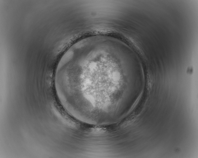 X0000111040451200907091613