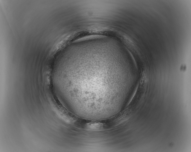 X0000111040452200907091613