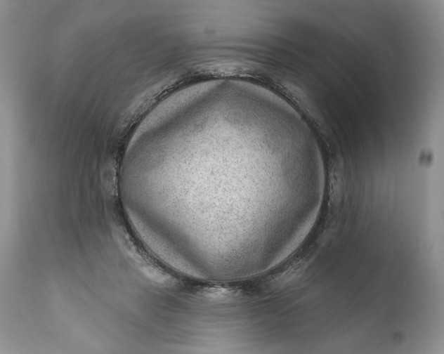 X0000111040453200907091613