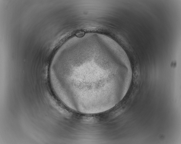 X0000111040454200907091613