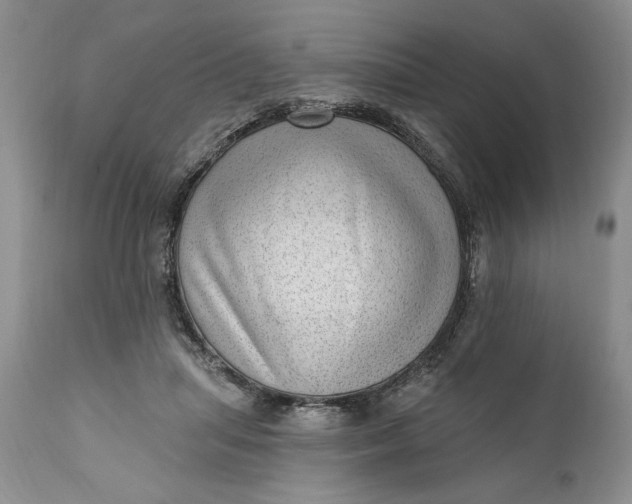 X0000111040455200907091613