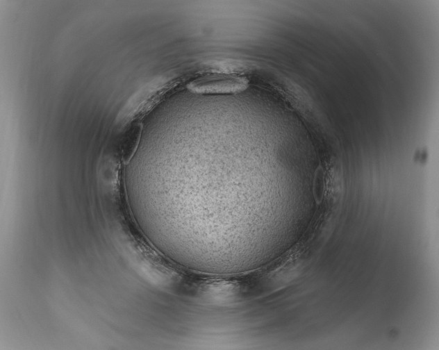 X0000111040456200907091613