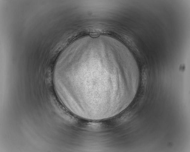 X0000111040457200907091613