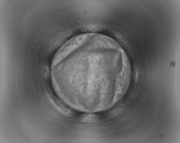 X0000111040459200907091614