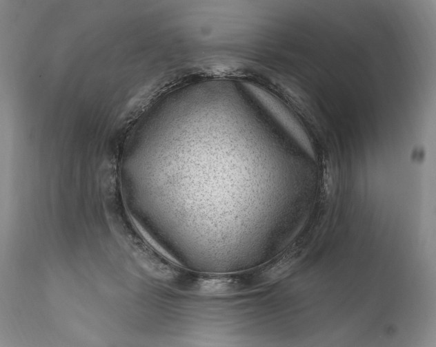 X0000111040461200907091614