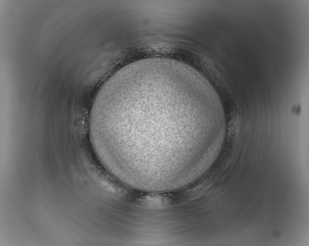 X0000111040464200907091614