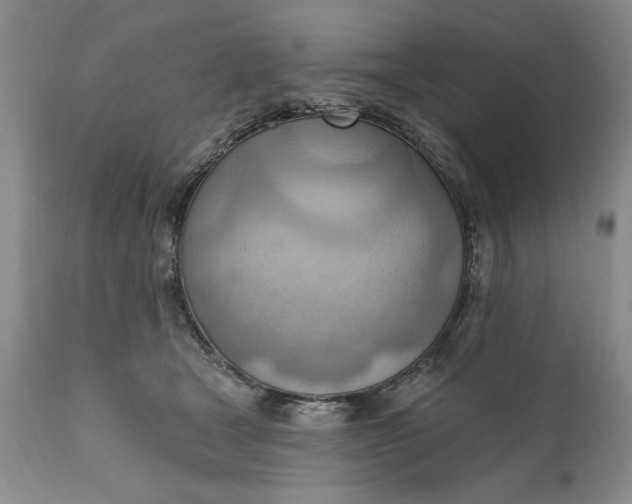 X0000111040465200907091614