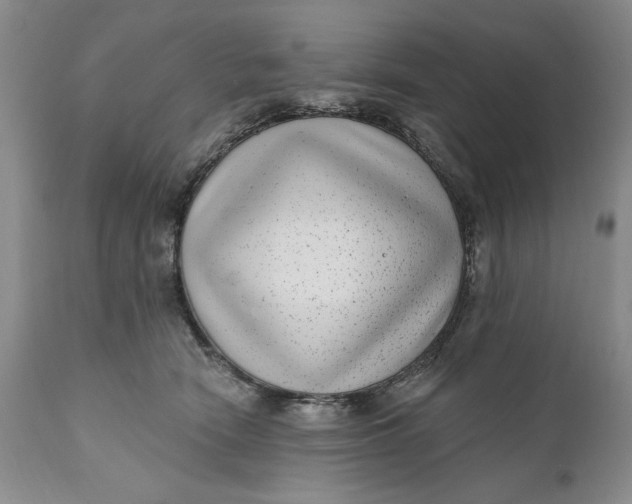 X0000111040466200907091614