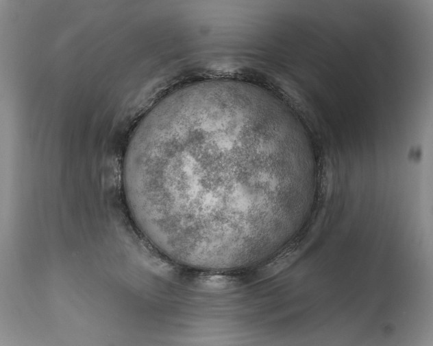 X0000111040467200907091614