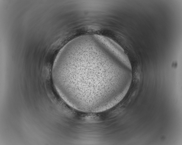 X0000111040468200907091614