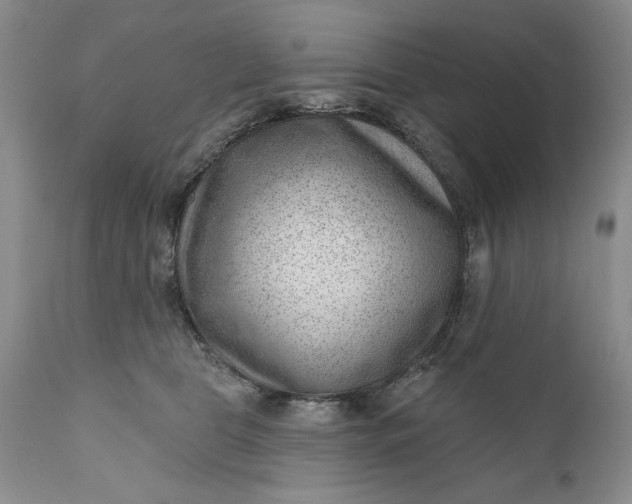 X0000111040469200907091614