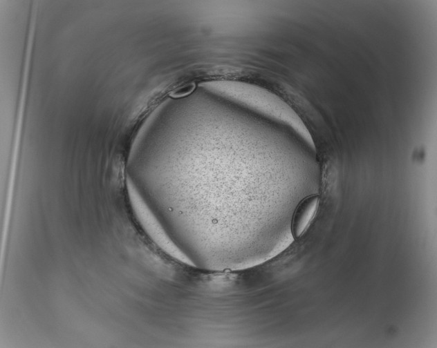 X0000111040474200907091614