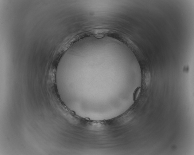 X0000111040475200907091614